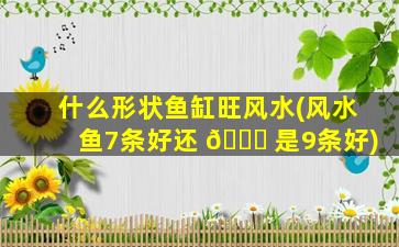 什么形状鱼缸旺风水(风水鱼7条好还 🍁 是9条好)